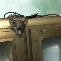 ReoManchs - Fashion Bebek ft.JeffKalashrio prod.byAKDO.