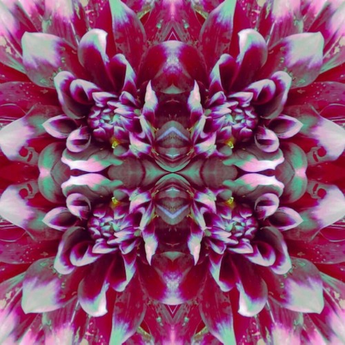 Work That (Visual Video and DL in Description)