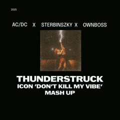 ACDC X Sterbinszky X BYOR & OWNBOSS - Thunderstruck (DJ Icon 'Don't Kill My Vibe' Mash Up)