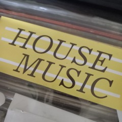 Deeper Into The Vibe ✺ House Mix ✺