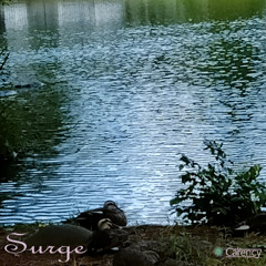 Surge
