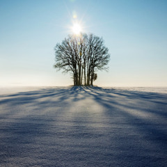 Winter Poem
