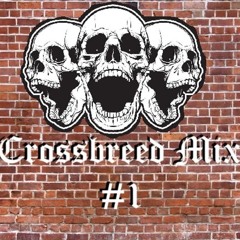 FIEND - Crossbreed D'n'B Mix (2016)