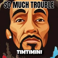 SO MUCH TROUBLE