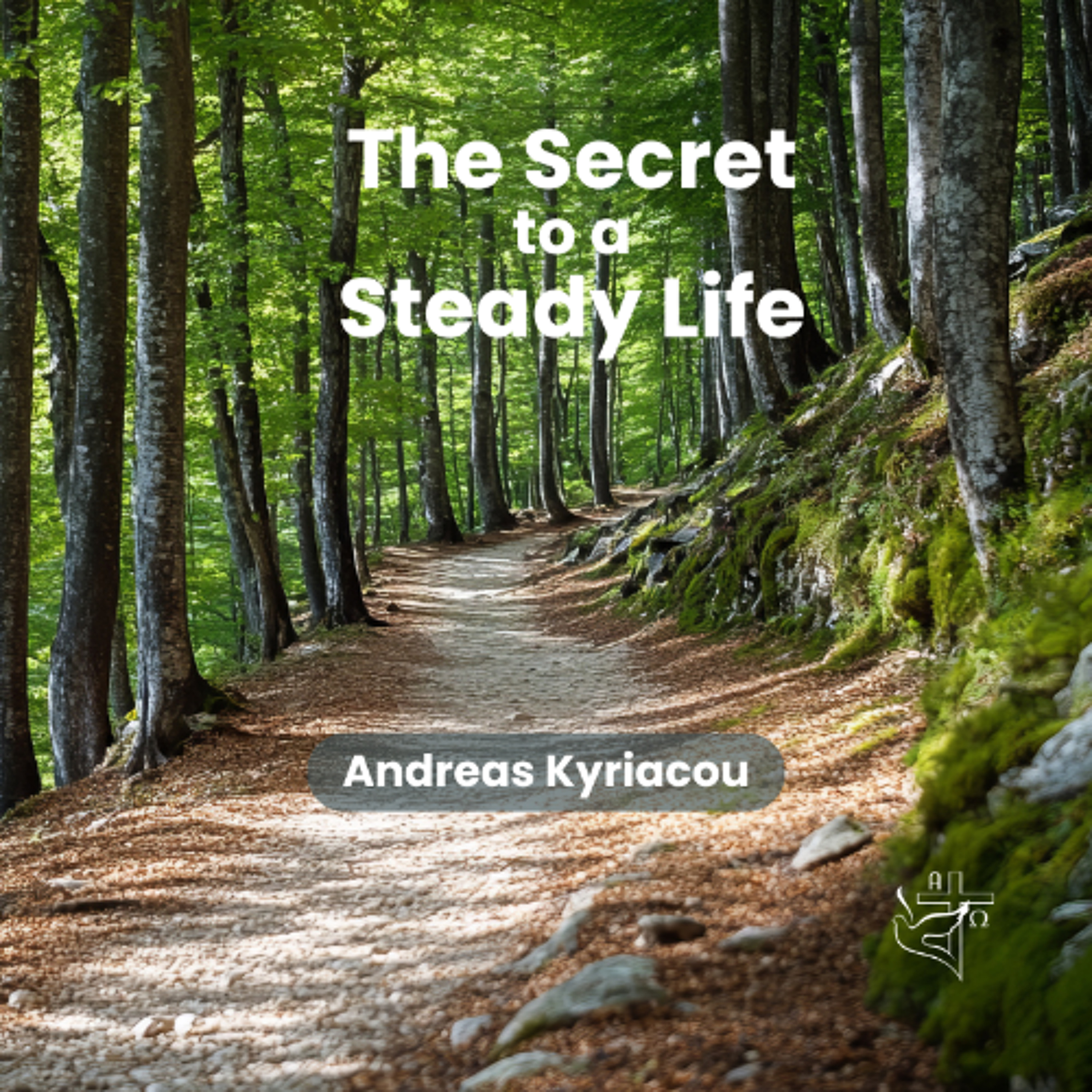 The secret to a steady life episode artwork