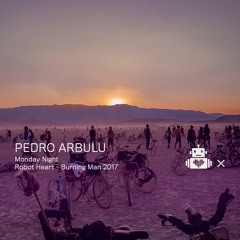 Pedro Arbulu - Robot Heart 10 Year Anniversary - Burning Man 2017