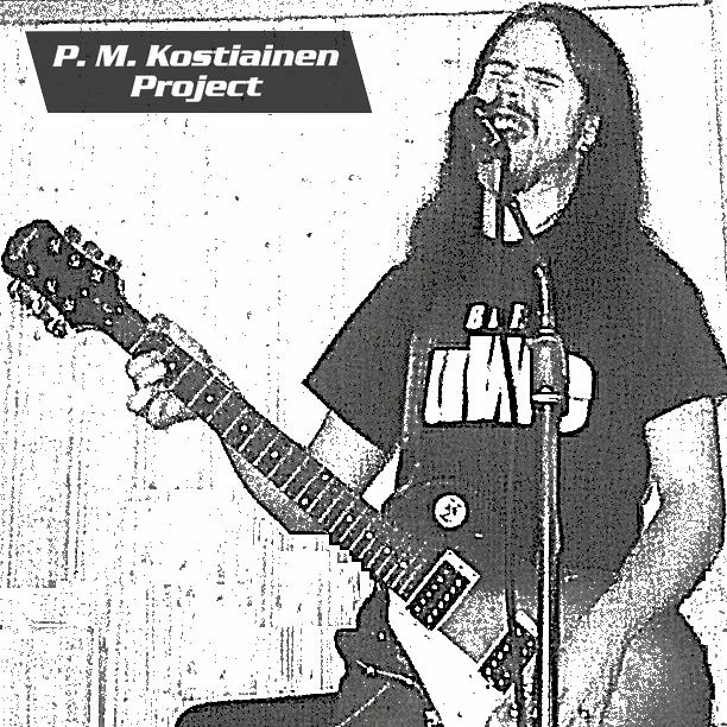 P. M. Kostiainen Project