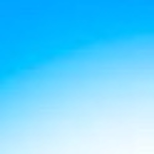 64 zoo lane speed garage