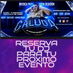 Caluda en vivo  2023 y 2024