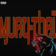 BOOBA - Muay Thaï / Type beat instrumental 2024