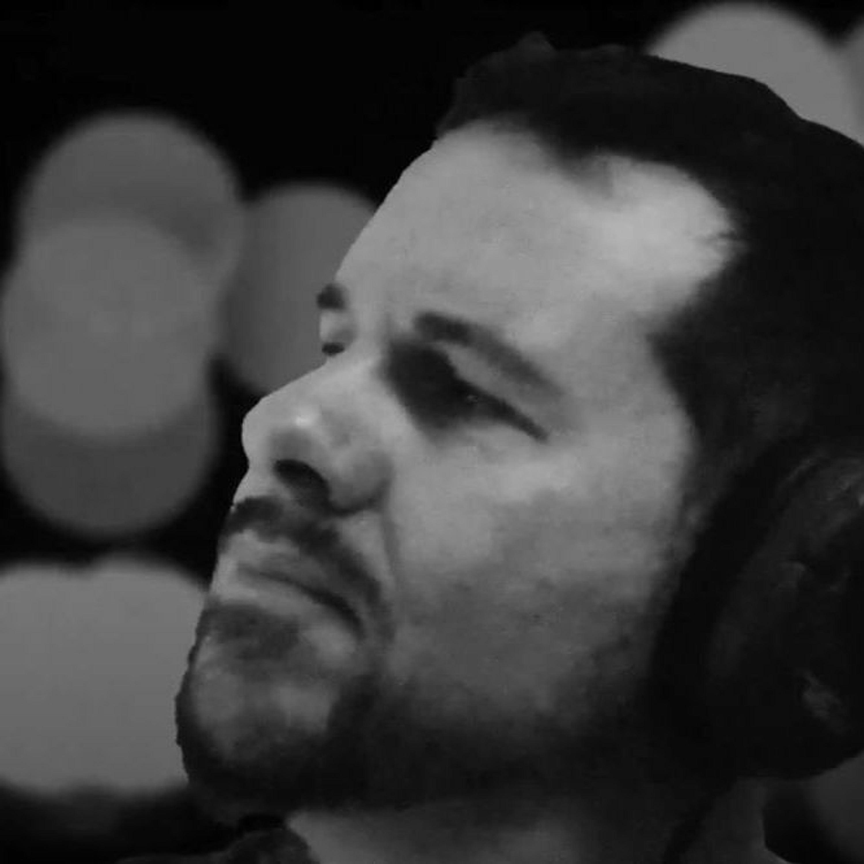 Reverb Studios Sounds Feed