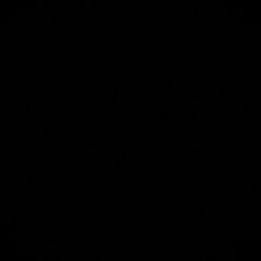 SPACE LACES - D.A.W (HORIZONTAL REBOOST)