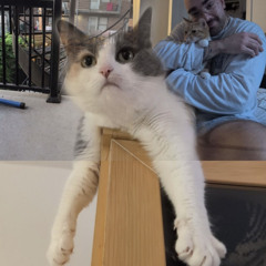 I Should Be Working…