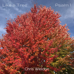 Like a Tree (Psalm 1).mp3