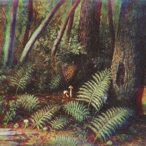 wizard eyes (prod. BOTHROS)