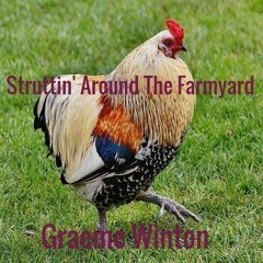 Struttin' Around The Farmyard