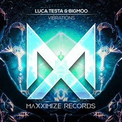 Luca Testa & Bigmoo - Vibrations