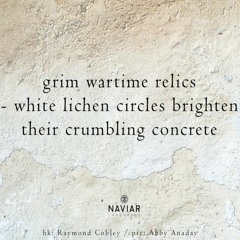 Wartime Relics [NaviarHaiku414]