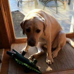 Recorded on 10/11/18 in an abandoned apartment