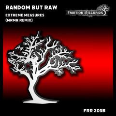 FR205b - Random But Raw - Extreme Measures (MrMR Remix) (Fruition Records)