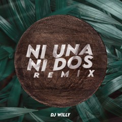 BM - NI UNA NI DOS - Remix Tik Tok - [ Intro Yo Que Te Ame ] - DJ Willy