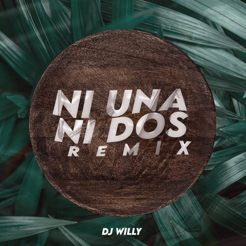 BM - NI UNA NI DOS - Remix Tik Tok - [ Intro Yo Que Te Ame ] - DJ Willy