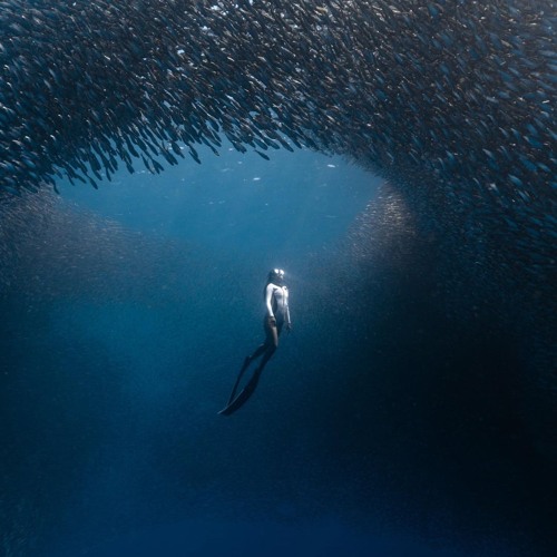 Romantics (Winter 2025)