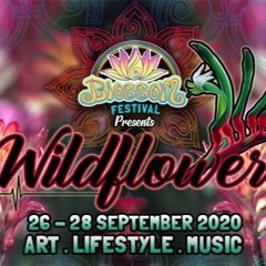 Mayz @ Blossom Festival 2020