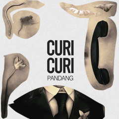 Curi Curi Pandang