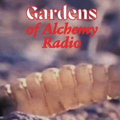 SHEDDING IN THE GARDEN ep. 22 w/ KKINGBOO