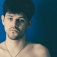 greta and the 7 angry dogs (bayergartner)