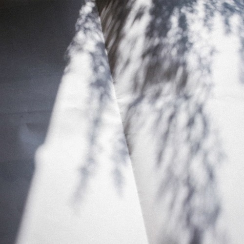 All This, Just To Live It Again (w/ y2k01)