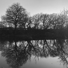 'It is the evening hour' from Love Songs for Mary Joyce (2016)