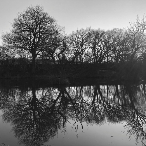 'It is the evening hour' from Love Songs for Mary Joyce (2016)