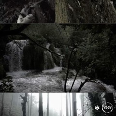 STEP prod Fybelx, 1mochji