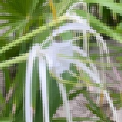 Echoteca: Echoes Of Evolution - Francesca Lombardo