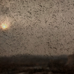 The Lonely Sun