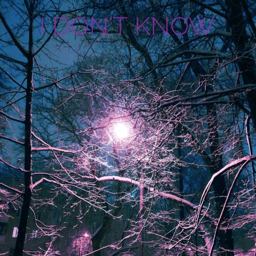 Erika - I Don't Know (QuarsssEkho Remix)