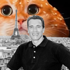 what does your wife think about that