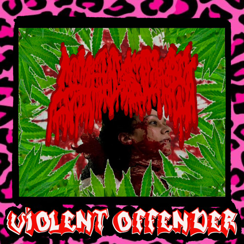 Violent Offender