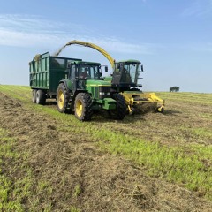 Cow head spec 🚜🐄