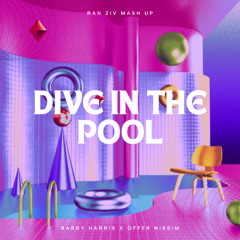 Dive In The Pool Zolushka (Ran Ziv Mash Up)