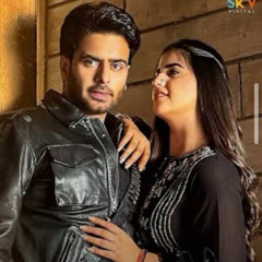 New Punjabi Songs 2023 ( December )