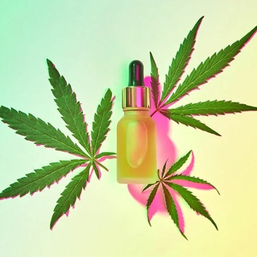 NOLOWeed