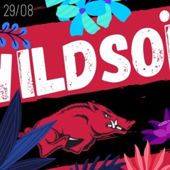 Ana-ïs - Crazy Circus_dj set @Wildsoï Fecht