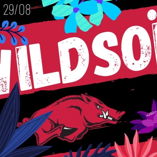 Ana-ïs - Crazy Circus_dj set @Wildsoï Fecht