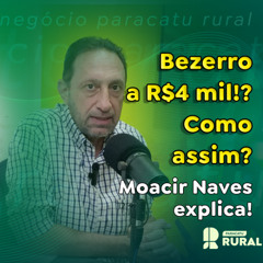 Bezerro a R$4 mil!? Como assim? O leiloeiro Moacir Naves explica.