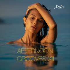 Afternoon Grooves vol.13