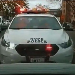 Brazil 2025 Curated Part I