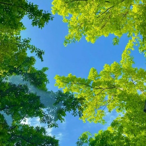 (VIEW PAGE) Xaviersobased - Wrong Instrumental (nyli)